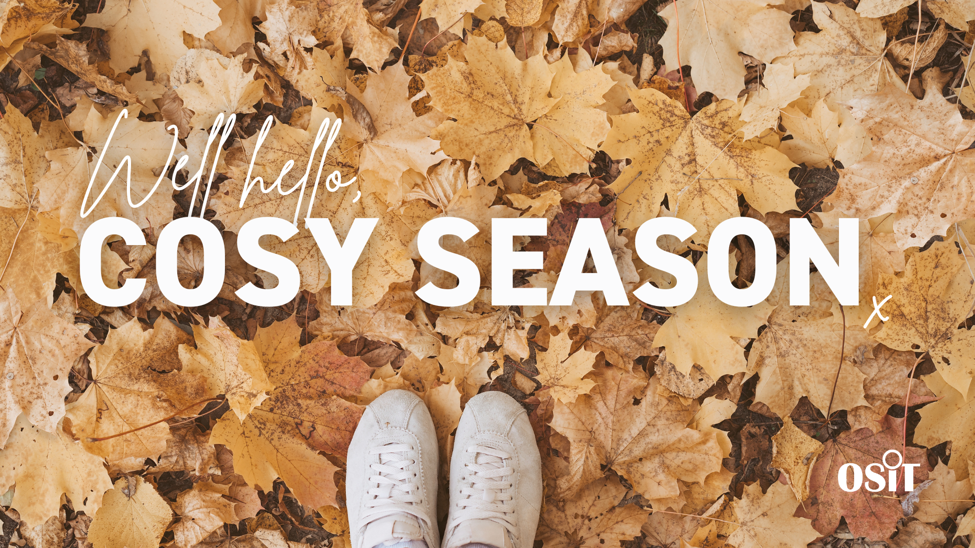  OSiT Newsletter SEPTEMBER 2024 