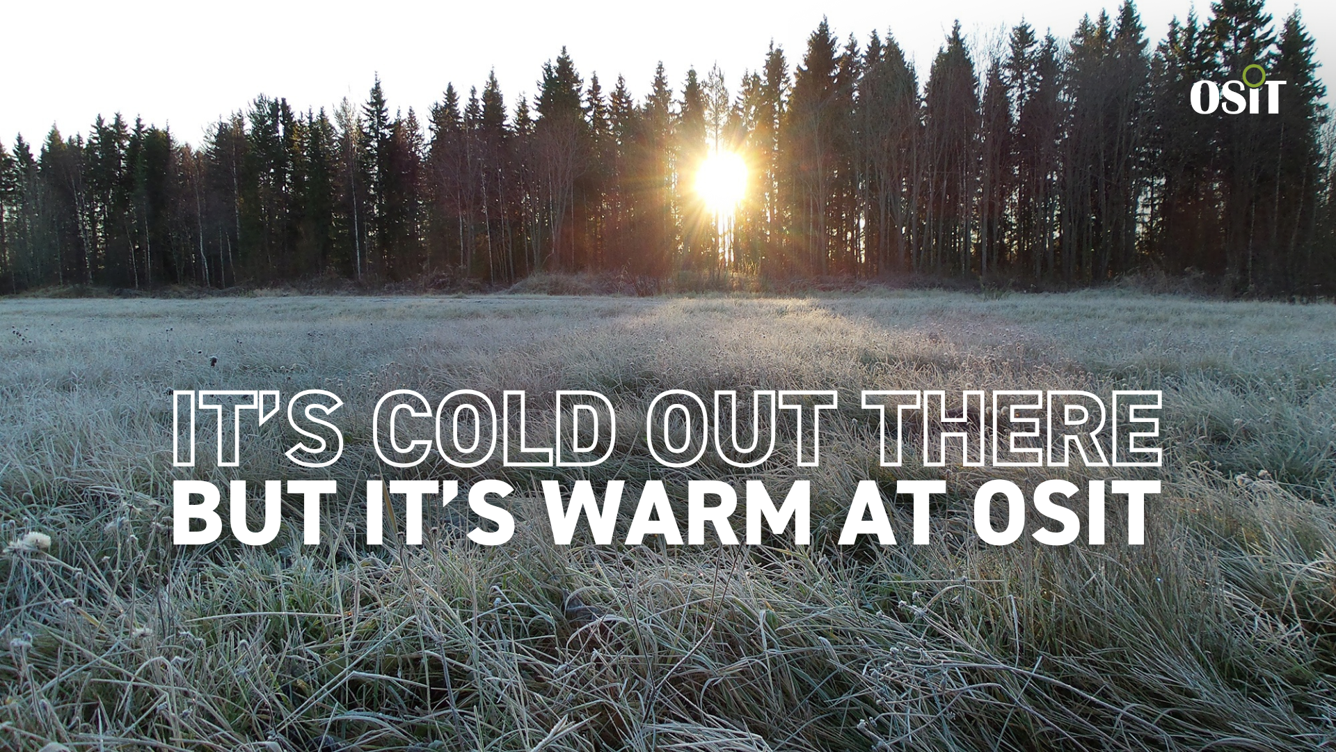 OSiT Newsletter January