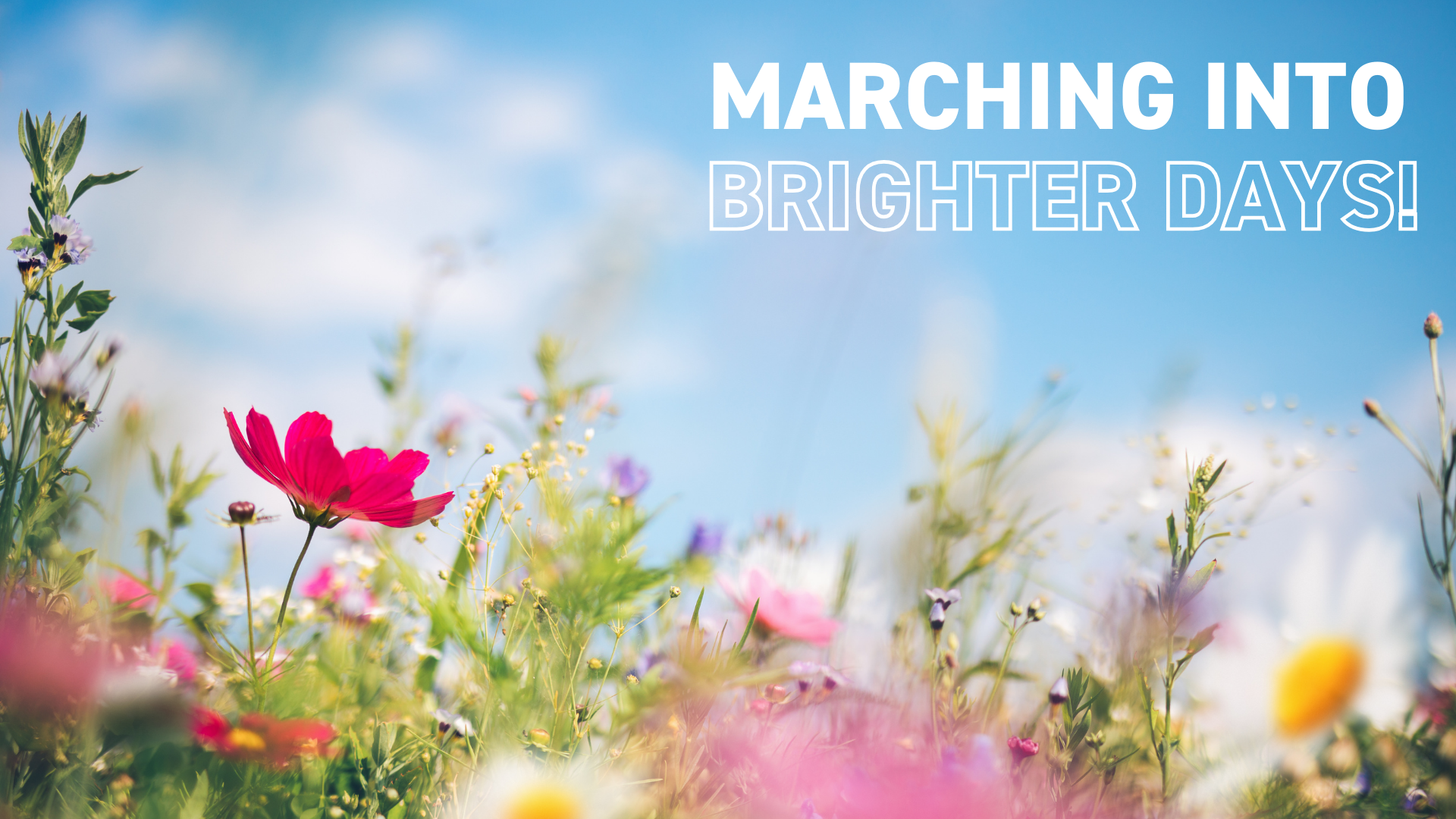 OSiT Newsletter March