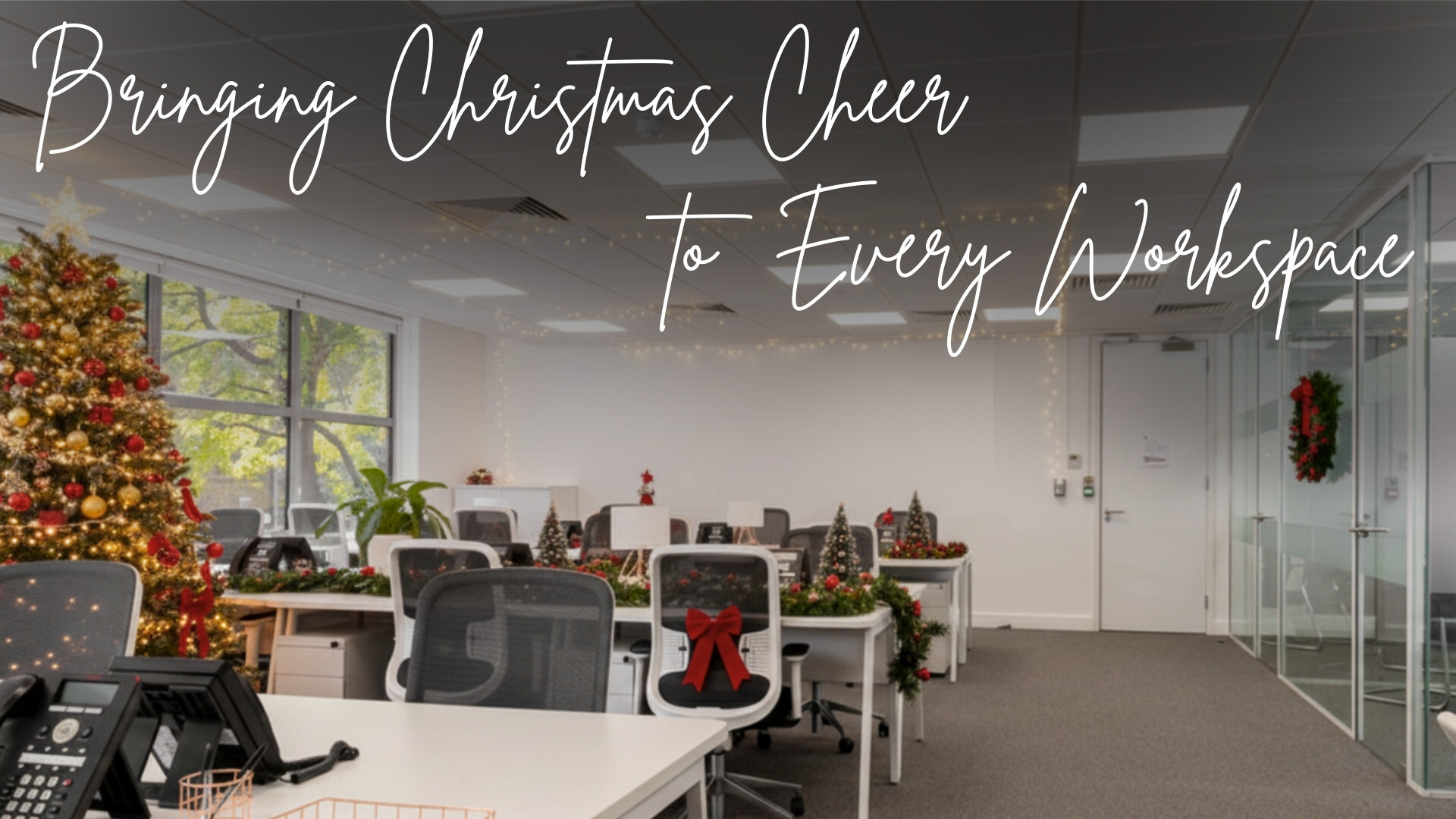  OSiT Newsletter December