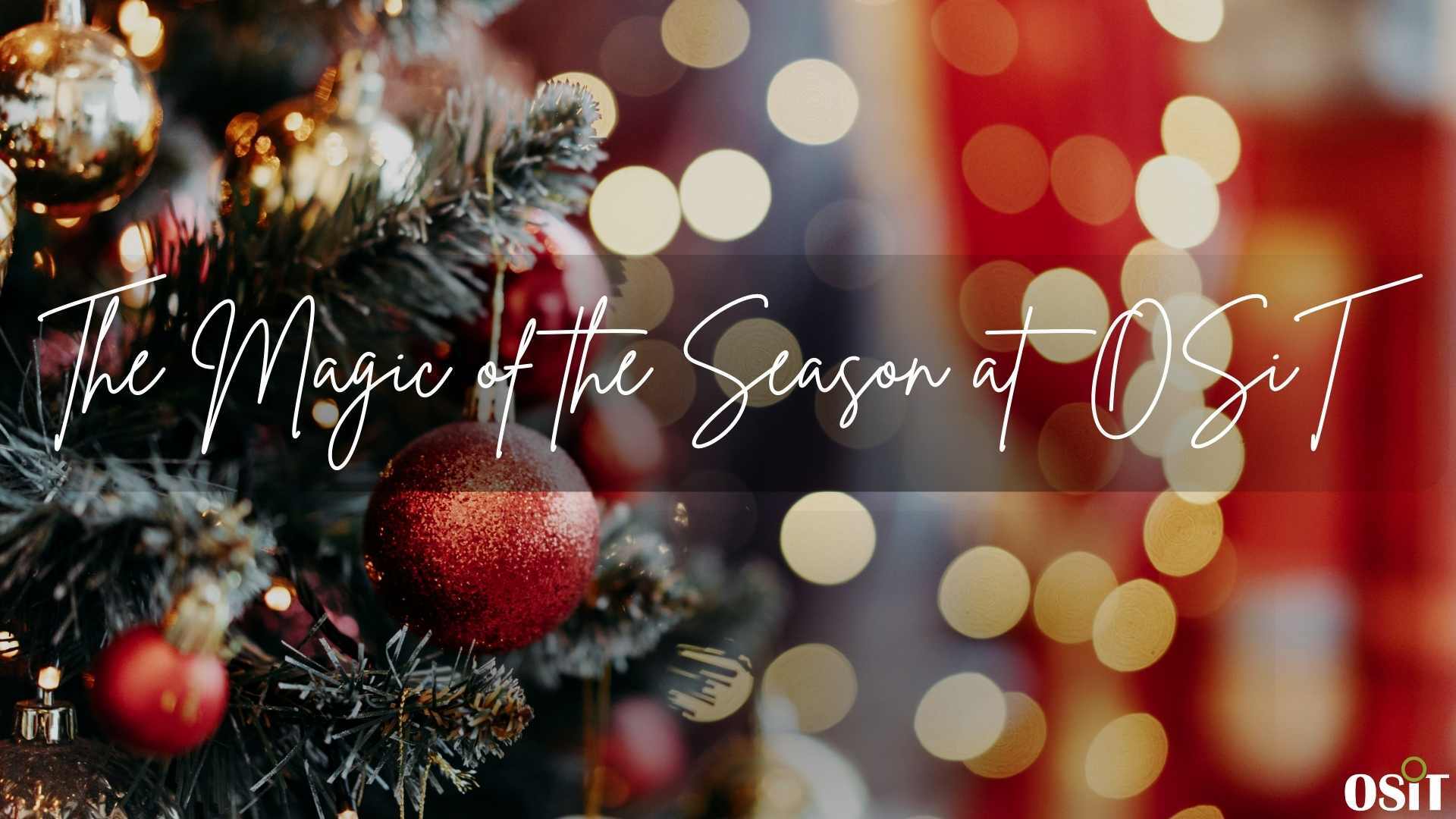  OSiT Newsletter November