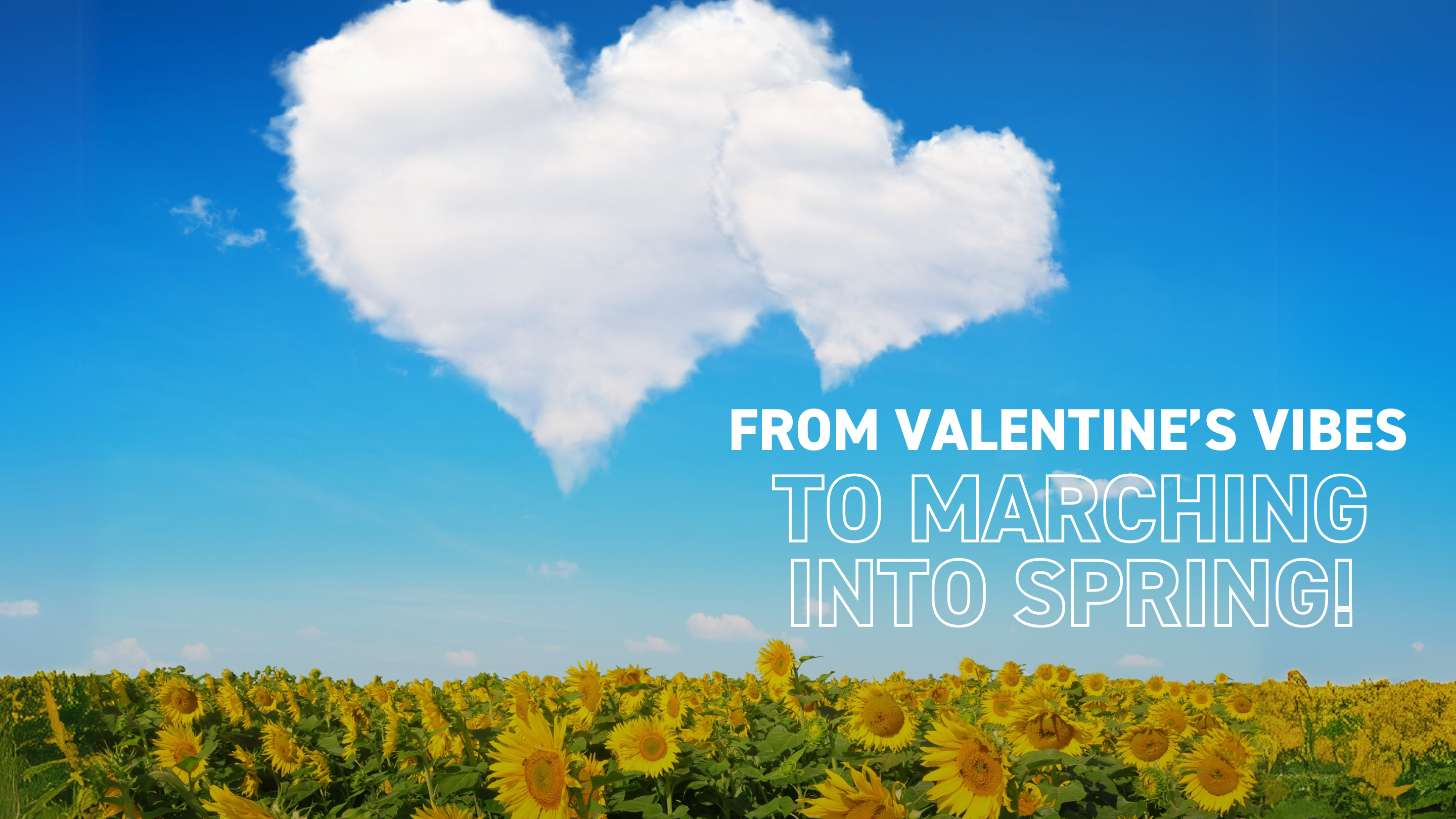 OSiT Newsletter February